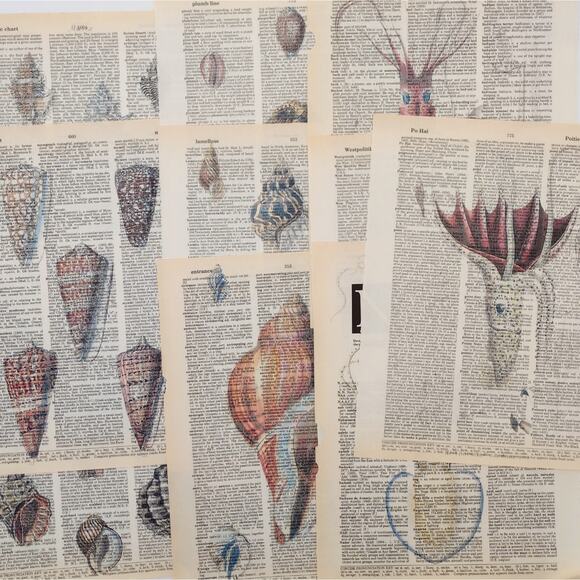 Seashells and Squids Dictionary Prints, Colorful Sea Prints, Book Page Prints - Picture 1 of 6